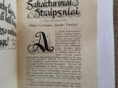 Dabušio indėlis į kultūrą 1938 m. - nuotraukos Nr. 8
