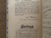 Dabušio indėlis į kultūrą 1938 m. - nuotraukos Nr. 9