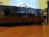 Veikiantis originalus Thorens Td 125 Mk II - nuotraukos Nr. 17