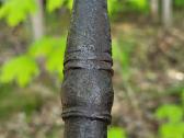 Senovinį 23 cm(!) raktą – tikrą interjero perliuką - nuotraukos Nr. 13