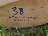 Medžio skultptūra. Gyvenimo vinys. M. Strioga - nuotraukos Nr. 3