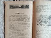 Antikvarinė knyga Laukuose ir pievose - nuotraukos Nr. 6