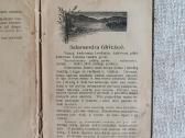Antikvarinė knyga Laukuose ir pievose - nuotraukos Nr. 12