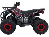 Benzininis keturratis Discoverer 120cc Klaipėda - nuotraukos Nr. 4