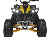 Benzininis keturratis Renegade Hiperfect 125cc - nuotraukos Nr. 4