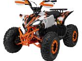 Benzininis keturratis Desert Storm 125cc - nuotraukos Nr. 5