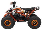 Benzininis keturratis Desert Storm 125cc - nuotraukos Nr. 6