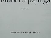 Flobero papūga - nuotraukos Nr. 2