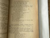 Įvadas į bendrąją literatūrą 1923 m. - nuotraukos Nr. 6