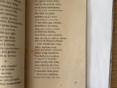 Karalaitis Jonas kvailutis ir paukštelis auksaspar - nuotraukos Nr. 5