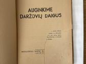Auginkime daržovių daigus 1946 m. - nuotraukos Nr. 2
