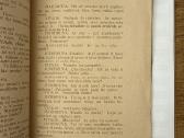 Brolio Vitalio naktys 1928 m. - nuotraukos Nr. 6