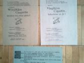 Virgilijus Čepaitis. plakatai, atsišaukimai. 1989m - nuotraukos Nr. 3