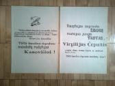 Virgilijus Čepaitis. plakatai, atsišaukimai. 1989m - nuotraukos Nr. 5