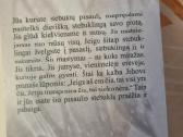 Maži kasdieniai stebuklai - nuotraukos Nr. 6