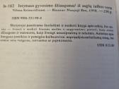 Intymaus gyvenimo džiaugsmai - nuotraukos Nr. 6