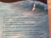 Šventasis , Banglentininkas ir Vadovas - nuotraukos Nr. 6