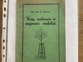 Kaip sodinami ir auginami medeliai 1931 m.