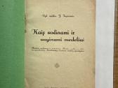 Kaip sodinami ir auginami medeliai 1931 m. - nuotraukos Nr. 2