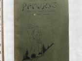 Pamurys : (erškėčių takais į šviesą) : 5 veiksmų d