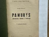 Pamurys : (erškėčių takais į šviesą) : 5 veiksmų d - nuotraukos Nr. 2