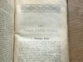 Švenčiausiosios Panelės Apsireiškimai Liurde - nuotraukos Nr. 6