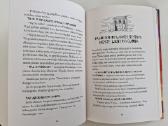 Knyga vaikams J.baltrukonytė - Dvynukai sekliai pa - nuotraukos Nr. 2