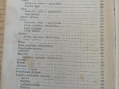 Daržininkystė 1961 - nuotraukos Nr. 7