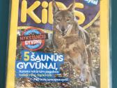 Vaikiškos Knygos įvairios 7v-i - nuotraukos Nr. 31