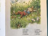 Vaikiškos Knygos Įvairios 7v-III - nuotraukos Nr. 2