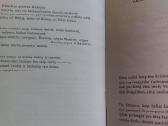 Labai reta knyga - nuotraukos Nr. 5