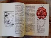 Mokslo almanachas "Nauka i čelovečestvo. 1965" - nuotraukos Nr. 5