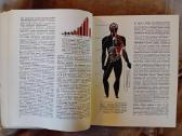 Mokslo almanachas "Nauka i čelovečestvo. 1965" - nuotraukos Nr. 6