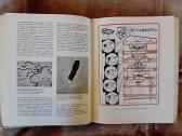 Mokslo almanachas "Nauka i čelovečestvo. 1965" - nuotraukos Nr. 11