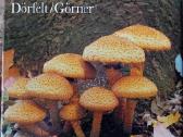 Albumas apie grybus "Die Welt der Pilze"