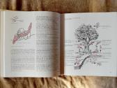 Albumas apie grybus "Die Welt der Pilze" - nuotraukos Nr. 4
