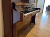 Pianinas Rippen