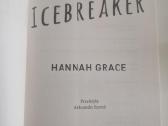Ice breaker - nuotraukos Nr. 2