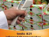 Maisto termometras Testo 106 ir Testo 831 - nuotraukos Nr. 8