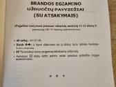 Matematikos brandos egzamino užduočių pavyzdžiai - nuotraukos Nr. 2