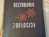 Bestuburių zoologija