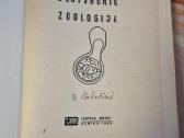 Bestuburių zoologija - nuotraukos Nr. 2
