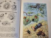 Bestuburių zoologija - nuotraukos Nr. 4
