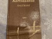 Daug knygų puikiame stovyje - nuotraukos Nr. 13
