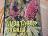 Nuostabus augalų pasaulis