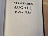 Nuostabus augalų pasaulis - nuotraukos Nr. 2