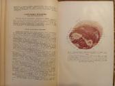 Topografinės Anatomijos praktinis vadovas 1967 - nuotraukos Nr. 8