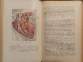 Topografinės Anatomijos praktinis vadovas 1967 - nuotraukos Nr. 15