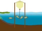 Gravitacinė tvenkinio žuvų šėrykla - nuotraukos Nr. 5