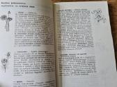 Kompozycje roślinne (sokołowska Agnieszka) - nuotraukos Nr. 9